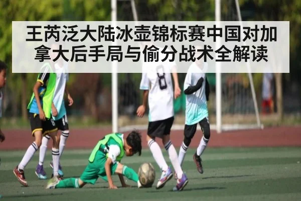 王芮泛大陆冰壶锦标赛中国对加拿大后手局与偷分战术全解读